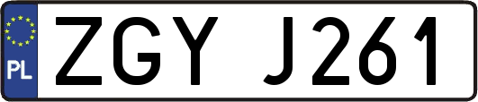 ZGYJ261