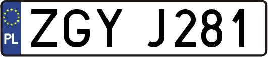 ZGYJ281