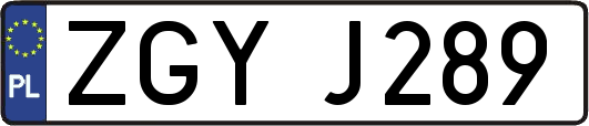 ZGYJ289