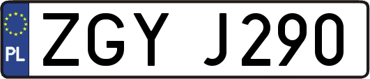 ZGYJ290