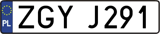 ZGYJ291