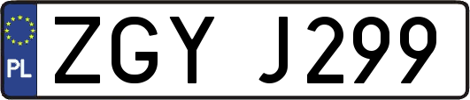 ZGYJ299