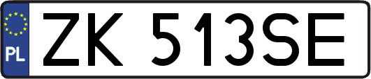 ZK513SE