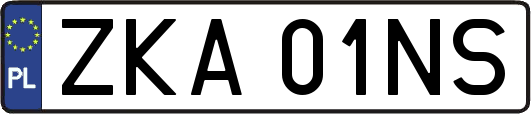 ZKA01NS