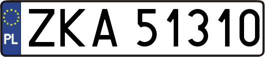 ZKA51310
