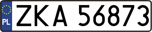 ZKA56873