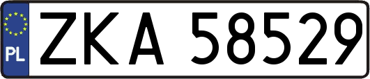 ZKA58529