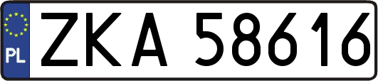 ZKA58616