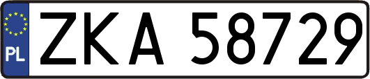 ZKA58729