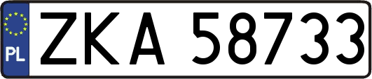 ZKA58733