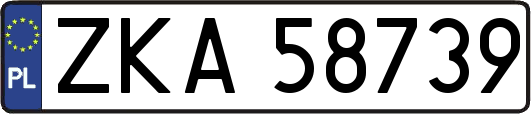 ZKA58739
