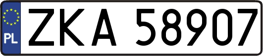 ZKA58907