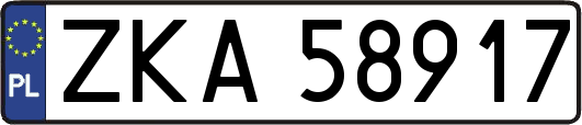 ZKA58917