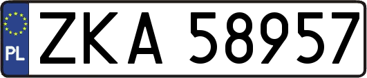 ZKA58957