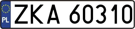 ZKA60310