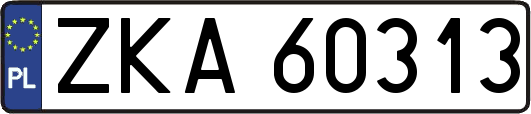 ZKA60313