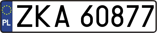ZKA60877