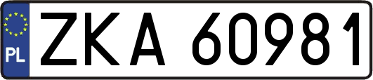 ZKA60981