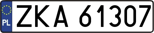 ZKA61307