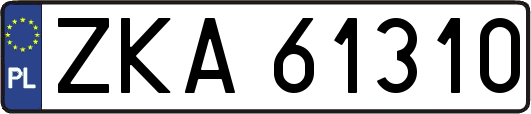 ZKA61310