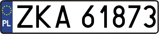 ZKA61873