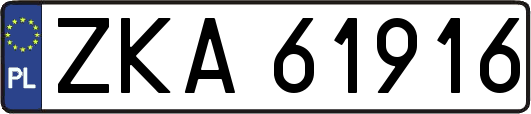 ZKA61916