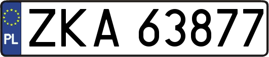 ZKA63877