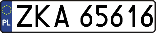 ZKA65616