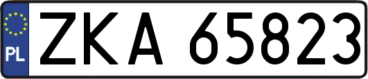 ZKA65823