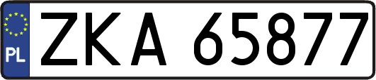 ZKA65877