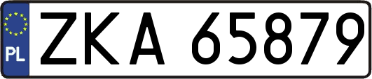 ZKA65879