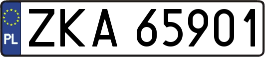 ZKA65901