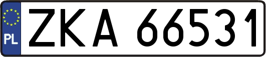 ZKA66531