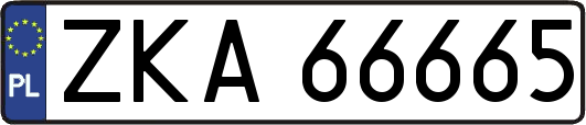 ZKA66665