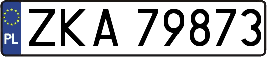 ZKA79873