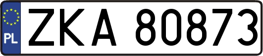 ZKA80873