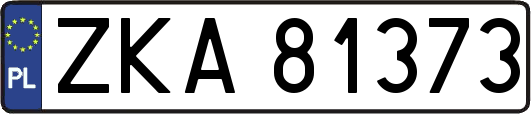 ZKA81373