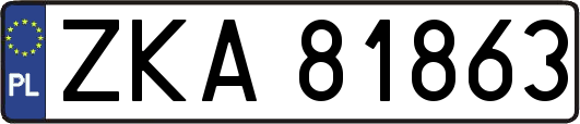 ZKA81863