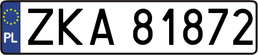ZKA81872