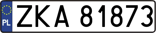 ZKA81873