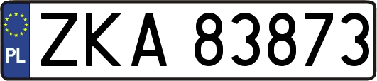 ZKA83873
