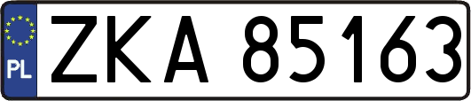 ZKA85163