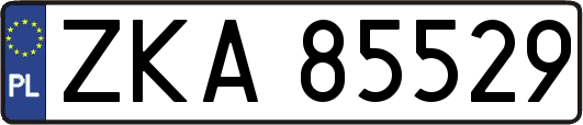 ZKA85529