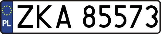 ZKA85573