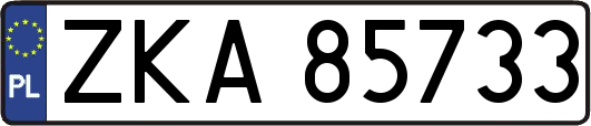 ZKA85733
