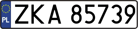 ZKA85739