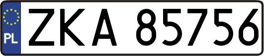 ZKA85756