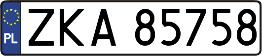 ZKA85758