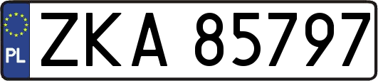ZKA85797