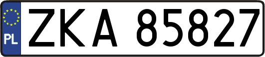 ZKA85827
